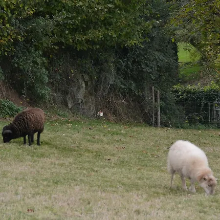 Maison De Chateaumur