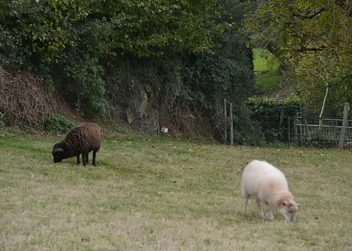 Maison De Chateaumur