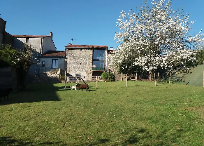 Maison De * Chateaumur